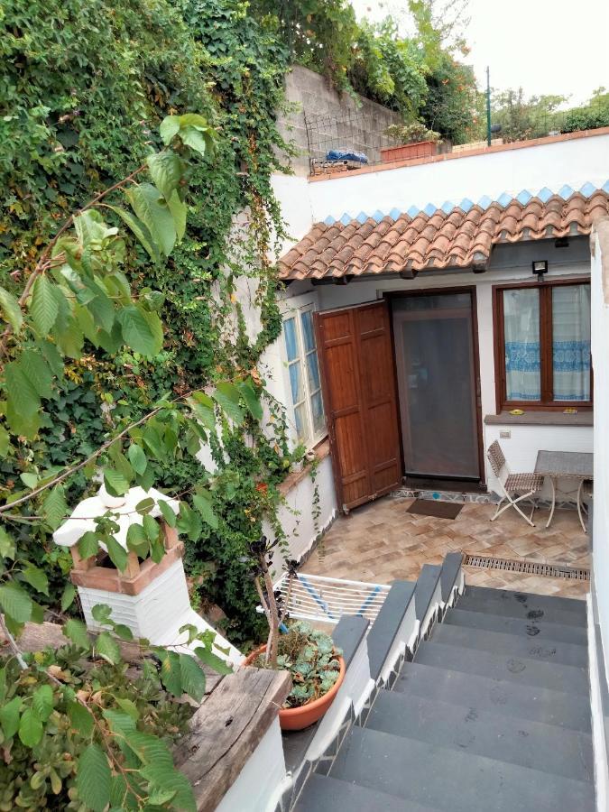 Casa Rustica Daire Dorgali Dış mekan fotoğraf
