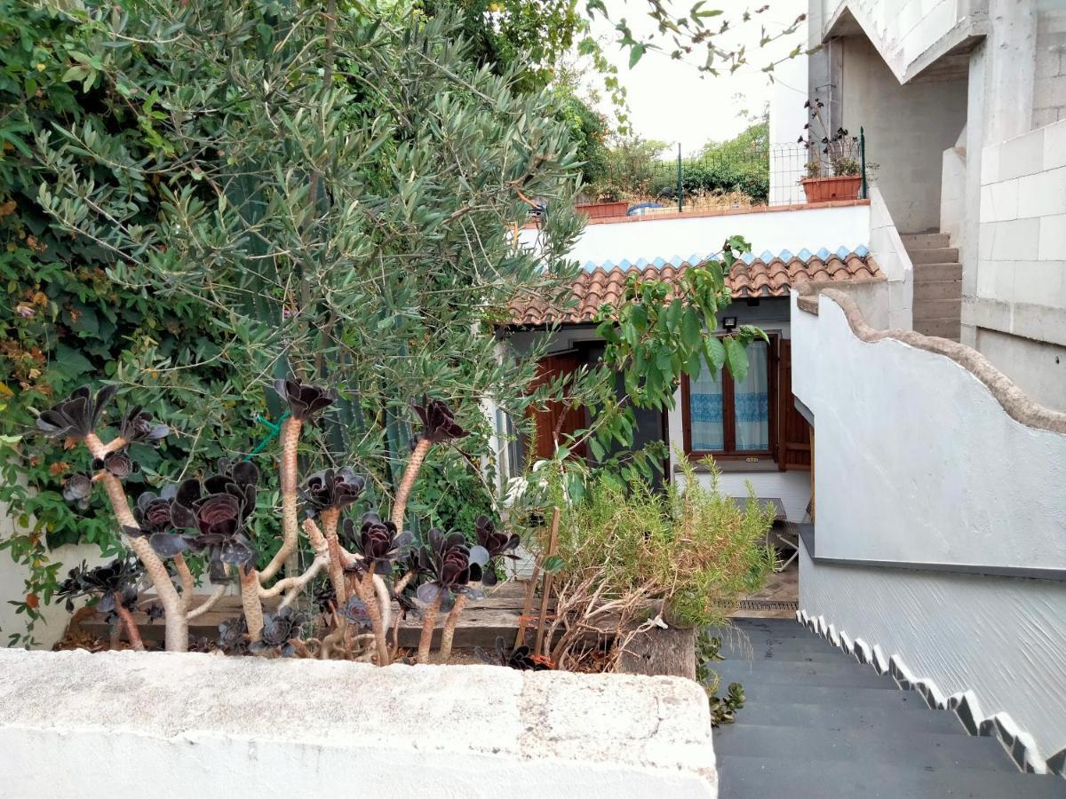 Casa Rustica Daire Dorgali Dış mekan fotoğraf